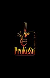 ProKeSo GmbH