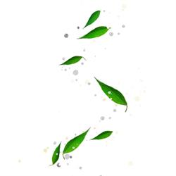 Jessie Naturopathie