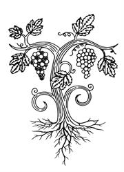 Domaine de l'Iris
