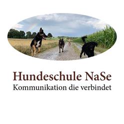 Hundeschule NaSe in Bern - Hundetraining