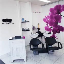 Coiffure - Creazione - Stefania (con passione)