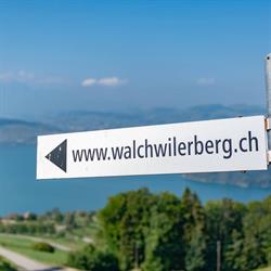 Haus Walchwilerberg