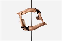 YS Pole Fitness Baden