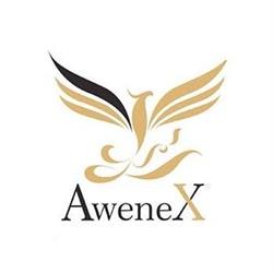 AweneX GmbH