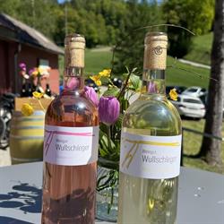 WEINGUT WULLSCHLEGER - Regionale Weine - Aargau