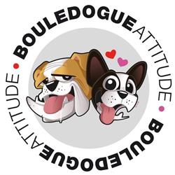 Fondation Bouledogue Attitude