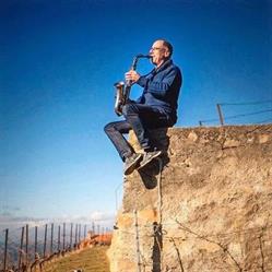 Domaine Vitis Musicalis Famille Alain Chollet