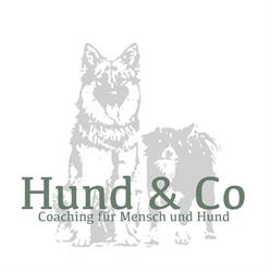 Hund & Co - Hundeschule