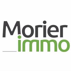 CGS Immobilier Château-d'Oex - Morier Immo Services