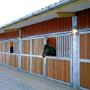 Stallbeleuchtung