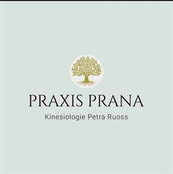 Kinesiologie PRAXIS PRANA Petra Ruoss