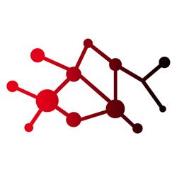 IT-Projekte.ch GmbH