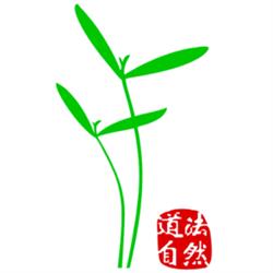 CHinatur Akupunktur und TCM