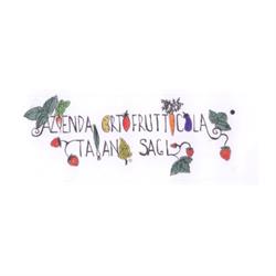 Azienda Ortofrutticola Taiana sagl