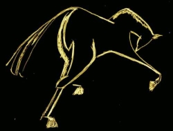 HorseSpirit