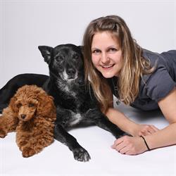 JC Hundestudio