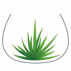 Tinygarden.ch