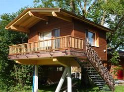 Swissfarm Wurzelbaumhaus
