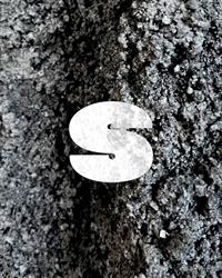 Sauvage bar