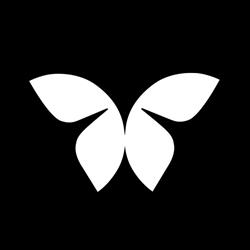 Stewo International AG
