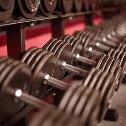 Fitness Factory Scholl AG