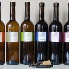 Weinbau Simmendinger
