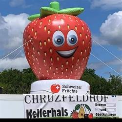Chrüzfeldhof Füllinsdorf