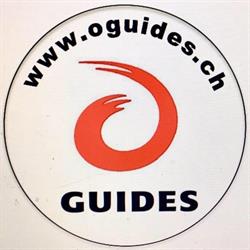 Oguides