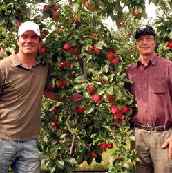 Fruits Buhlmann
