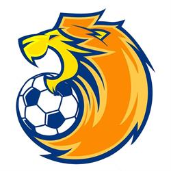 Fussballschule neudikids.ch
