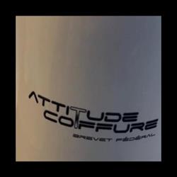 ATTITUDE COIFFURE Aicha Calame Brevet Fédéral