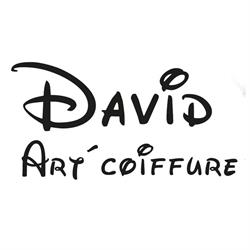 David art'coiffure