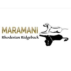 Maramani