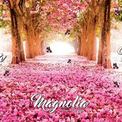 Magnolia Massage und Fußpflege