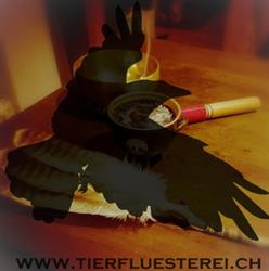 Tierfluesterei.ch