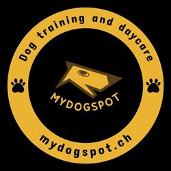 mydogspot