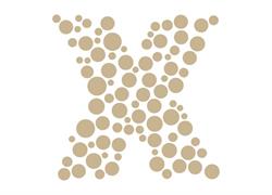 X - Reinigungen Interlaken GmbH