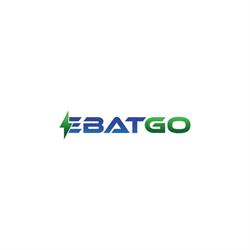 eBatGo