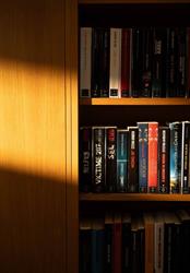 Library of Carouge