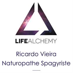Life Alchemy