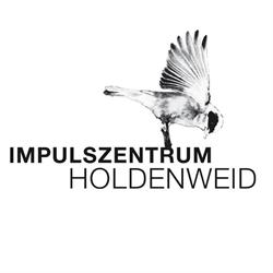 Impulszentrum Holdenweid GmbH
