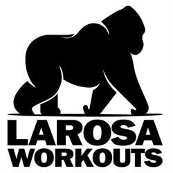 AGOGE - LAROSA WORKOUTS