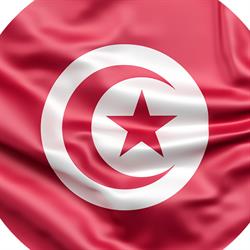 Maison de Tunisie