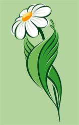 Cabinet de naturopathie - csurmesure