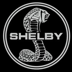 Shelby Schweiz