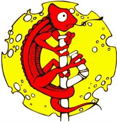 Zelig
