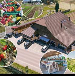 Magasin Famille Beck (Marché à la Ferme Hofladen)