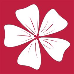The Sakura Yoga