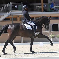 Ecole d'équitation