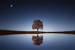 Hypnotherapie.life - Hypnose Ericksonienne